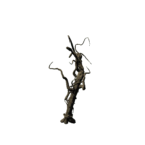 tree14 ANIMATED